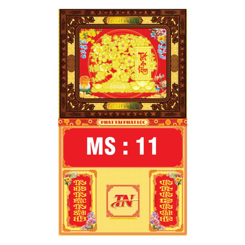 TN11-40x70cm-Mai-vang-an-khang
