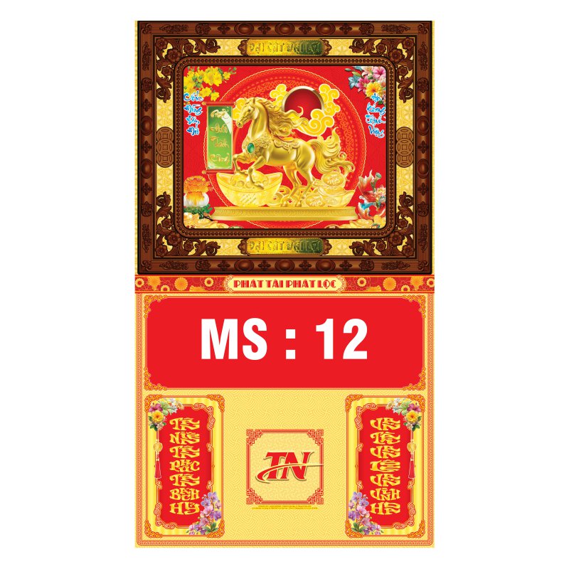 TN12-40x70cm-Ma-dao-thanh-cong